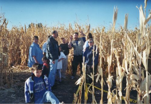 Corn Maze