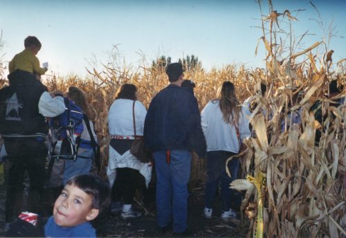 Corn Maze