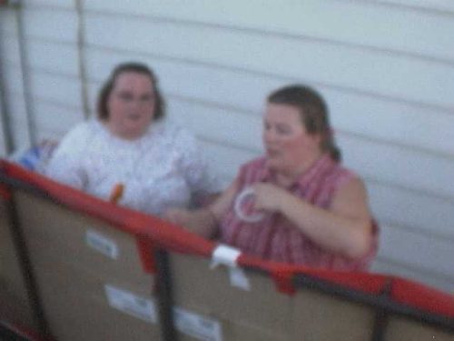 Ticonderoga Parade Float Model