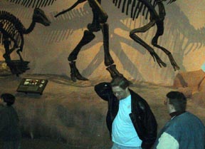 Dinosaur Museum