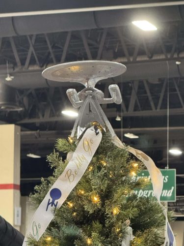 2025 Festival of Trees